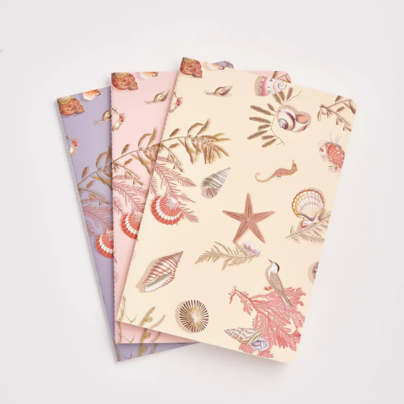 Fable Whispering Sands Notebook - Pack of Three